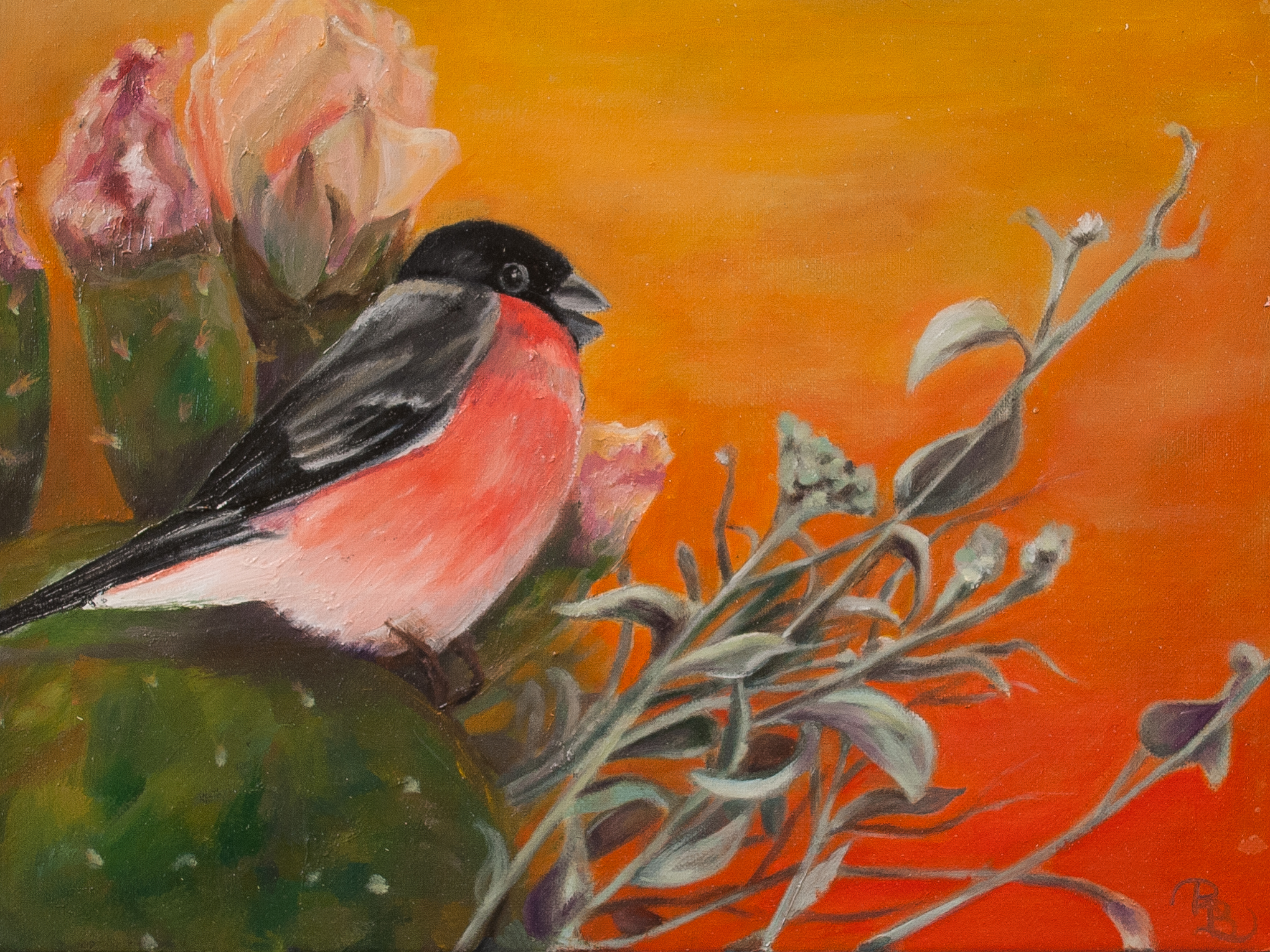 bird bullfinch sitting on a prickly pear at sunset